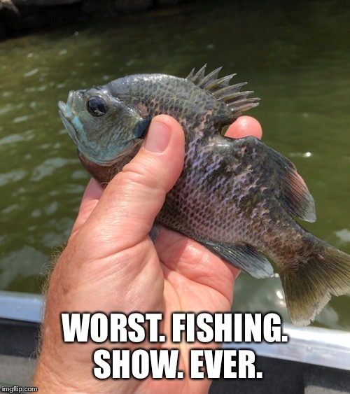 WORST. FISHING. SHOW. EVER. | made w/ Imgflip meme maker