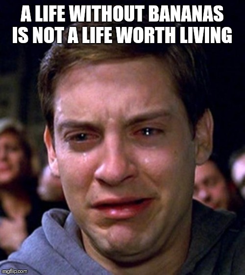 crying peter parker | A LIFE WITHOUT BANANAS IS NOT A LIFE WORTH LIVING | image tagged in crying peter parker | made w/ Imgflip meme maker