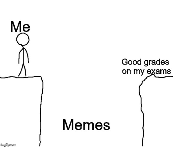My Life At The Moment | Me; Good grades on my exams; Memes | image tagged in memes,exams,cliff | made w/ Imgflip meme maker