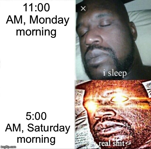 When you feel personally attacked by your own meme... | 11:00 AM, Monday morning; 5:00 AM, Saturday morning | image tagged in memes,sleeping shaq | made w/ Imgflip meme maker