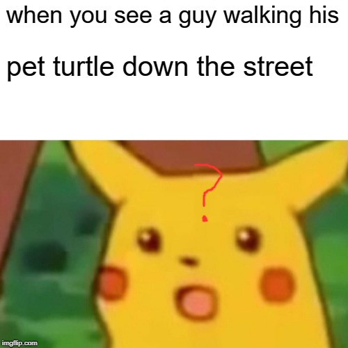 Surprised Pikachu Meme | when you see a guy walking his; pet turtle down the street | image tagged in memes,surprised pikachu | made w/ Imgflip meme maker