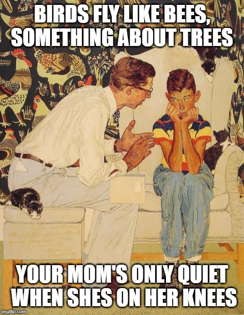 The Problem Is | BIRDS FLY LIKE BEES, SOMETHING ABOUT TREES; YOUR MOM'S ONLY QUIET WHEN SHES ON HER KNEES | image tagged in memes,the probelm is | made w/ Imgflip meme maker