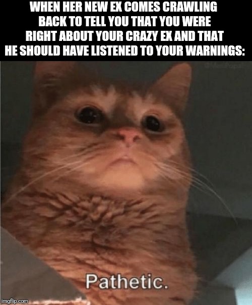 Pathetic Cat | WHEN HER NEW EX COMES CRAWLING BACK TO TELL YOU THAT YOU WERE RIGHT ABOUT YOUR CRAZY EX AND THAT HE SHOULD HAVE LISTENED TO YOUR WARNINGS: | image tagged in pathetic cat | made w/ Imgflip meme maker