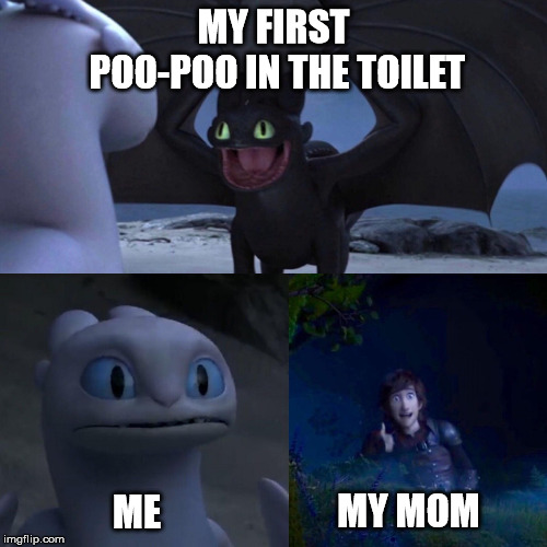 night fury | MY FIRST POO-POO IN THE TOILET; MY MOM; ME | image tagged in night fury | made w/ Imgflip meme maker