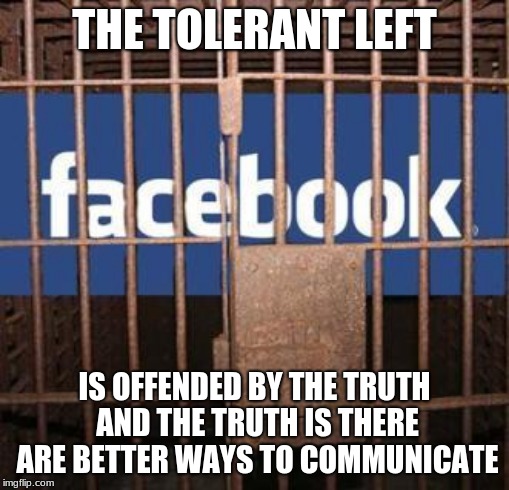 Facebook jail is proof that even a sorry business model can succeed in the USA |  THE TOLERANT LEFT; IS OFFENDED BY THE TRUTH AND THE TRUTH IS THERE ARE BETTER WAYS TO COMMUNICATE | image tagged in facebook jail,facebook sucks,poor leadership,poor product,censorship is hate speech | made w/ Imgflip meme maker