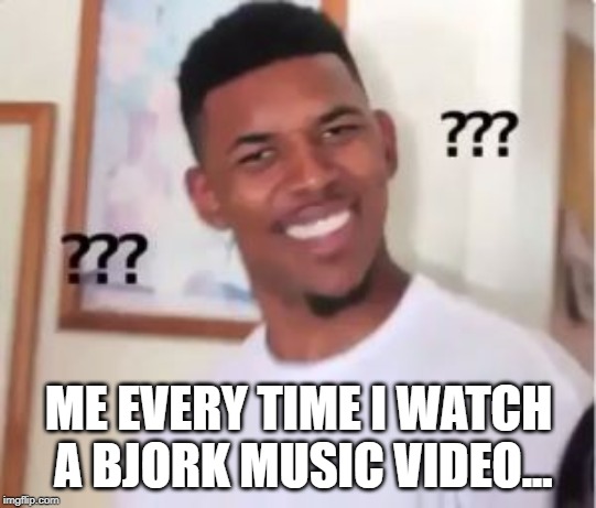 She's so Weird | ME EVERY TIME I WATCH A BJORK MUSIC VIDEO... | image tagged in nick young | made w/ Imgflip meme maker