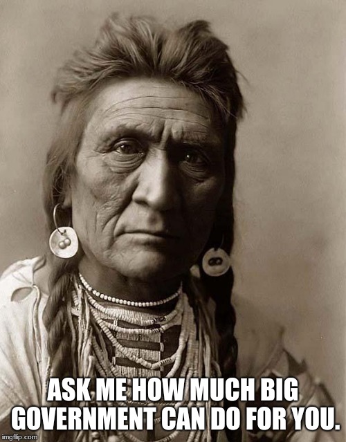 Ask an expert | ASK ME HOW MUCH BIG GOVERNMENT CAN DO FOR YOU. | image tagged in indian,big government is legalized crime,do not trust anyone with the ability to vote,term limits or tomahawks | made w/ Imgflip meme maker