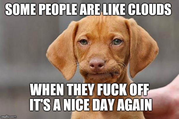 Dissapointed puppy | SOME PEOPLE ARE LIKE CLOUDS WHEN THEY F**K OFF IT'S A NICE DAY AGAIN | image tagged in dissapointed puppy | made w/ Imgflip meme maker