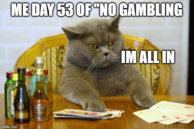 Gambling Sad Cat | ME DAY 53 OF "NO GAMBLING; IM ALL IN | image tagged in gambling sad cat | made w/ Imgflip meme maker
