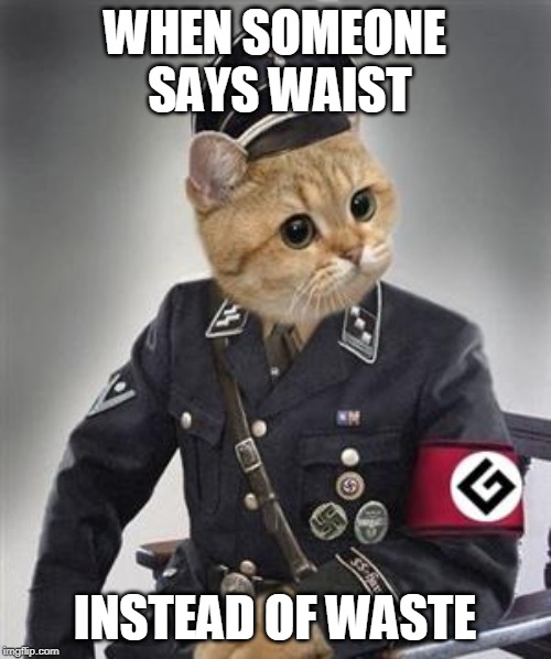 Grammar Nazi Cat | WHEN SOMEONE SAYS WAIST INSTEAD OF WASTE | image tagged in grammar nazi cat | made w/ Imgflip meme maker