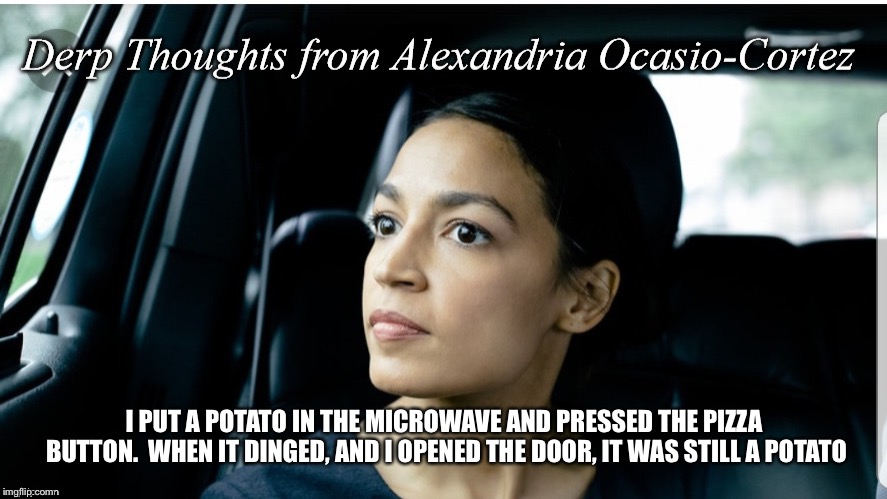 Derp Thoughts from AOC | I PUT A POTATO IN THE MICROWAVE AND PRESSED THE PIZZA BUTTON.  WHEN IT DINGED, AND I OPENED THE DOOR, IT WAS STILL A POTATO | image tagged in derp thoughts from aoc | made w/ Imgflip meme maker