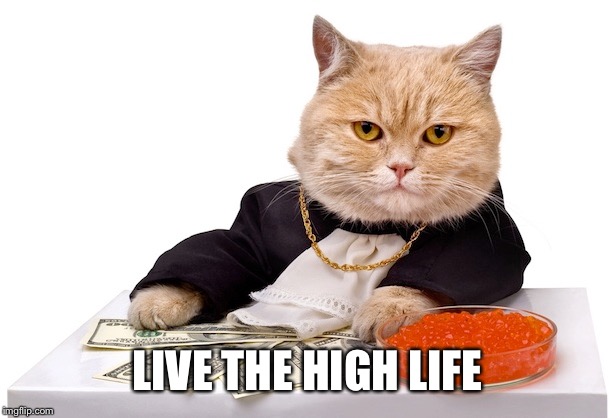 LIVE THE HIGH LIFE | made w/ Imgflip meme maker