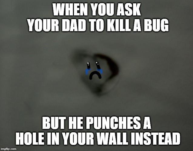 Dear Dad | WHEN YOU ASK YOUR DAD TO KILL A BUG; BUT HE PUNCHES A HOLE IN YOUR WALL INSTEAD | image tagged in inside joke,meme | made w/ Imgflip meme maker