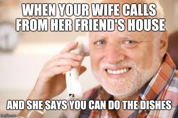 Harold Phone | WHEN YOUR WIFE CALLS FROM HER FRIEND'S HOUSE; AND SHE SAYS YOU CAN DO THE DISHES | image tagged in harold phone | made w/ Imgflip meme maker