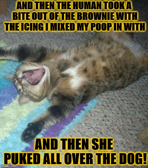 AND THEN | AND THEN THE HUMAN TOOK A BITE OUT OF THE BROWNIE WITH THE ICING I MIXED MY POOP IN WITH; AND THEN SHE PUKED ALL OVER THE DOG! | image tagged in and then | made w/ Imgflip meme maker