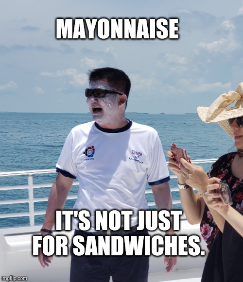 Sunzilla | MAYONNAISE; IT'S NOT JUST FOR SANDWICHES. | image tagged in sunzilla | made w/ Imgflip meme maker