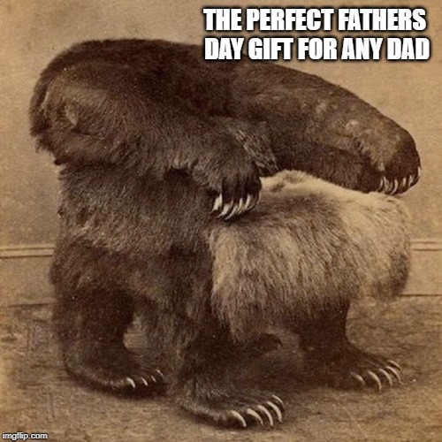 Fathers Day Gift Ideas | THE PERFECT FATHERS DAY GIFT FOR ANY DAD | image tagged in fathers day,dad,gifts,holidays,bear,toxic masculinity | made w/ Imgflip meme maker