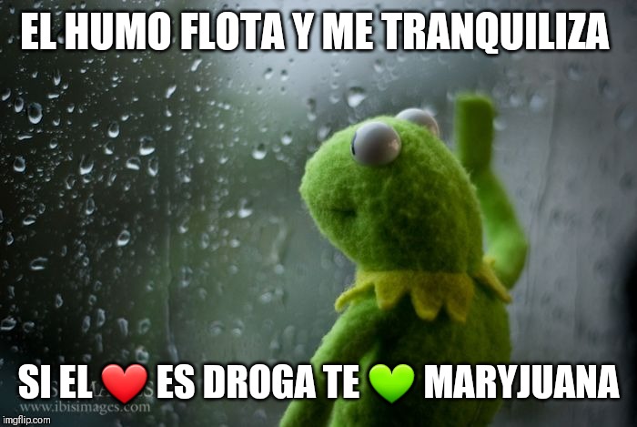 kermit window | EL HUMO FLOTA Y ME TRANQUILIZA; SI EL ❤ ES DROGA TE 💚 MARYJUANA | image tagged in kermit window | made w/ Imgflip meme maker