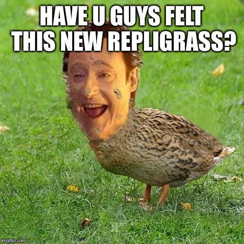 The Data Ducky | HAVE U GUYS FELT THIS NEW REPLIGRASS? | image tagged in the data ducky | made w/ Imgflip meme maker