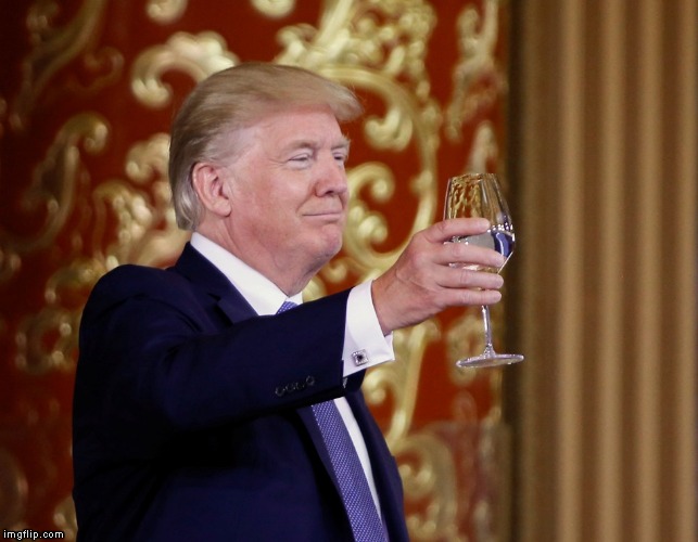 donald trump cheers | image tagged in donald trump cheers | made w/ Imgflip meme maker