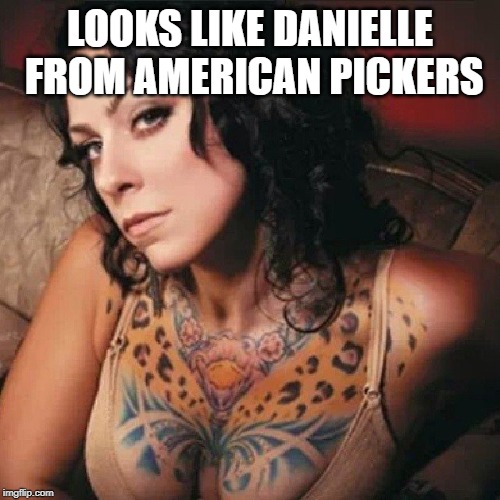 Pick her | LOOKS LIKE DANIELLE FROM AMERICAN PICKERS | image tagged in milf | made w/ Imgflip meme maker