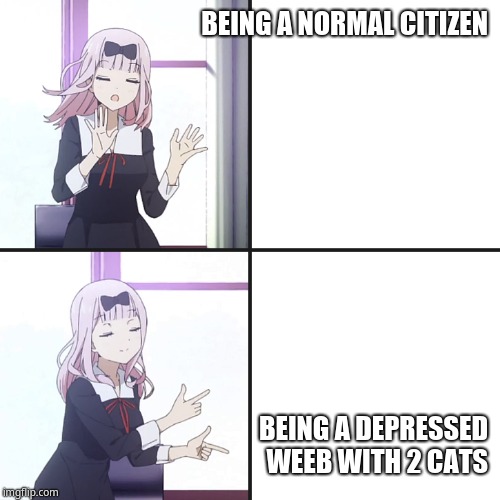 And ain't that the truth | BEING A NORMAL CITIZEN; BEING A DEPRESSED WEEB WITH 2 CATS | image tagged in chika yes no | made w/ Imgflip meme maker