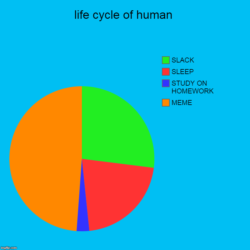 LIFE | life cycle of human | MEME, STUDY ON HOMEWORK, SLEEP, SLACK | image tagged in dank memes | made w/ Imgflip chart maker