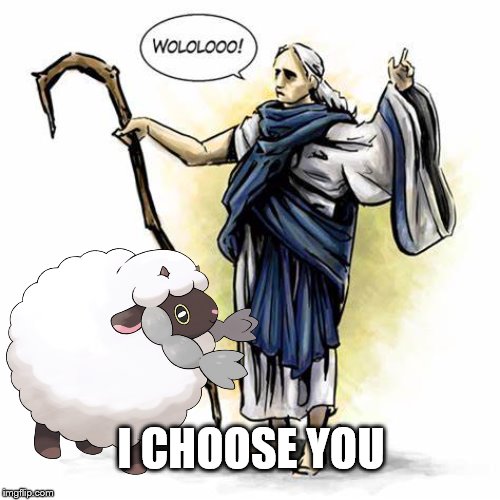 Woolooloo | I CHOOSE YOU | image tagged in pokemon,wooloo | made w/ Imgflip meme maker