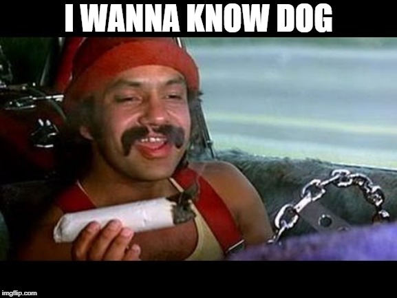 I WANNA KNOW DOG | made w/ Imgflip meme maker