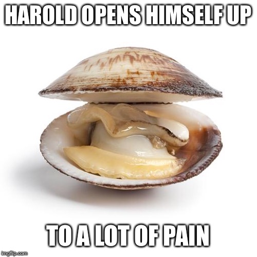 clam | HAROLD OPENS HIMSELF UP TO A LOT OF PAIN | image tagged in clam | made w/ Imgflip meme maker