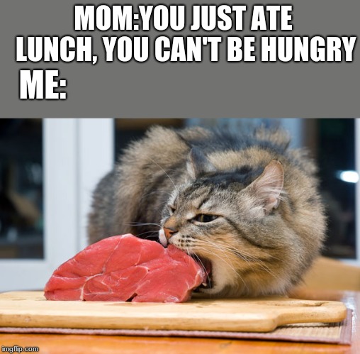 Hungry cat |  MOM:YOU JUST ATE LUNCH, YOU CAN'T BE HUNGRY; ME: | image tagged in hungry cat | made w/ Imgflip meme maker