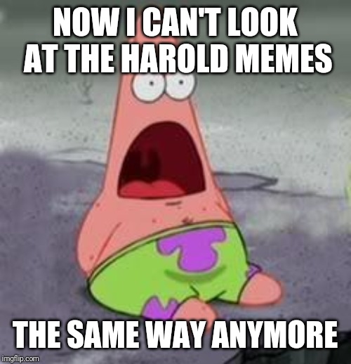 Suprised Patrick | NOW I CAN'T LOOK AT THE HAROLD MEMES THE SAME WAY ANYMORE | image tagged in suprised patrick | made w/ Imgflip meme maker