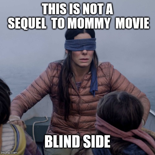 Bird Box | THIS IS NOT A SEQUEL  TO MOMMY  MOVIE; BLIND SIDE | image tagged in memes,bird box | made w/ Imgflip meme maker