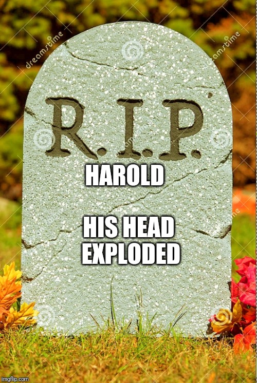 R.I.P. sm | HAROLD HIS HEAD EXPLODED | image tagged in rip sm | made w/ Imgflip meme maker