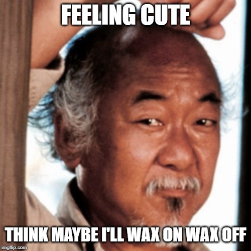 Feeling Cute | FEELING CUTE; THINK MAYBE I'LL WAX ON WAX OFF | image tagged in miagi | made w/ Imgflip meme maker