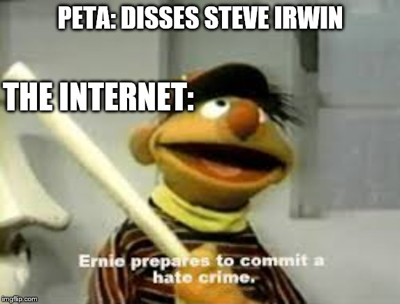 Ernie Prepares to commit a hate crime | PETA: DISSES STEVE IRWIN; THE INTERNET: | image tagged in ernie prepares to commit a hate crime | made w/ Imgflip meme maker