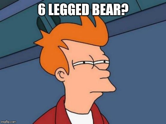 Futurama Fry Meme | 6 LEGGED BEAR? | image tagged in memes,futurama fry | made w/ Imgflip meme maker