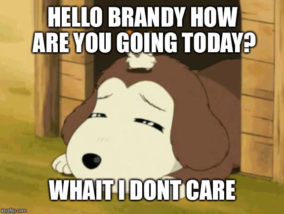 Hamtaro-dog | HELLO BRANDY HOW ARE YOU GOING TODAY? WHAIT I DONT CARE | image tagged in hamtaro-dog | made w/ Imgflip meme maker