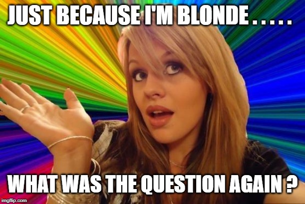 Dumb Blonde Meme | JUST BECAUSE I'M BLONDE . . . . . WHAT WAS THE QUESTION AGAIN ? | image tagged in memes,dumb blonde | made w/ Imgflip meme maker