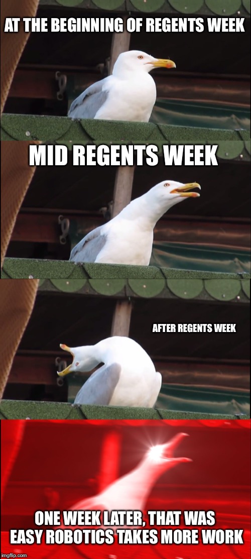 Inhaling Seagull Meme | AT THE BEGINNING OF REGENTS WEEK; MID REGENTS WEEK; AFTER REGENTS WEEK; ONE WEEK LATER, THAT WAS EASY ROBOTICS TAKES MORE WORK | image tagged in memes,inhaling seagull | made w/ Imgflip meme maker
