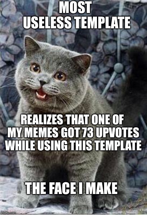 I can has cheezburger cat | MOST USELESS TEMPLATE; REALIZES THAT ONE OF MY MEMES GOT 73 UPVOTES WHILE USING THIS TEMPLATE; THE FACE I MAKE | image tagged in i can has cheezburger cat | made w/ Imgflip meme maker