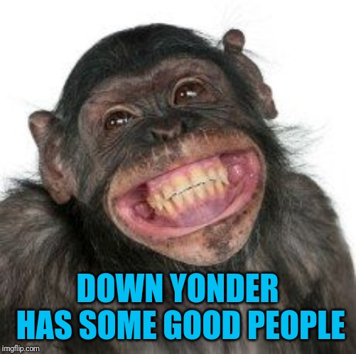 Grinning Chimp | DOWN YONDER HAS SOME GOOD PEOPLE | image tagged in grinning chimp | made w/ Imgflip meme maker