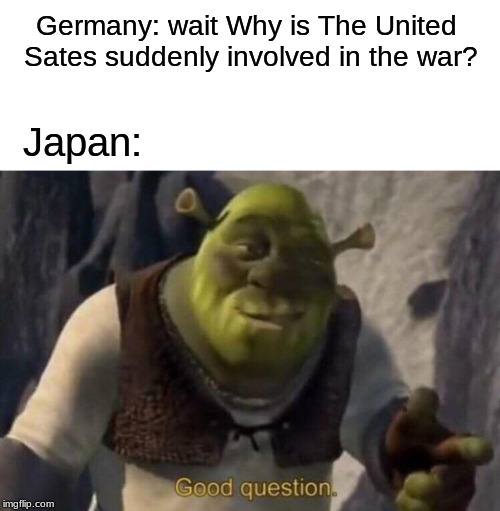 Shrek good question | Germany: wait Why is The United Sates suddenly involved in the war? Japan: | image tagged in shrek good question | made w/ Imgflip meme maker