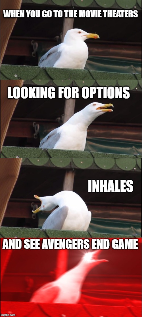 Inhaling Seagull | WHEN YOU GO TO THE MOVIE THEATERS; LOOKING FOR OPTIONS; INHALES; AND SEE AVENGERS END GAME | image tagged in memes,inhaling seagull | made w/ Imgflip meme maker