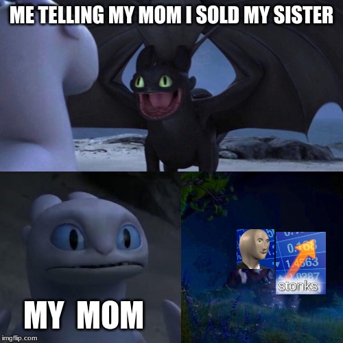 My first meme in a while. Help me. | ME TELLING MY MOM I SOLD MY SISTER; MY  MOM | image tagged in toothless,stonks | made w/ Imgflip meme maker