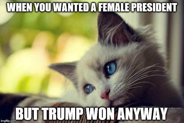 If you think discriminating based on gender is bad, why would you base your vote on someone's gender? | WHEN YOU WANTED A FEMALE PRESIDENT; BUT TRUMP WON ANYWAY | image tagged in memes,first world problems cat,hillary clinton,donald trump,president 2016 | made w/ Imgflip meme maker
