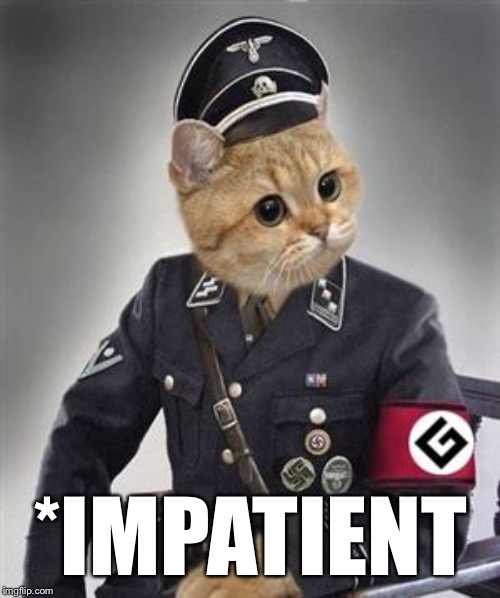 Grammar Nazi Cat | *IMPATIENT | image tagged in grammar nazi cat | made w/ Imgflip meme maker