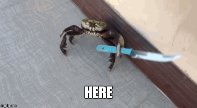 Knife wielding crab | HERE | image tagged in knife wielding crab | made w/ Imgflip meme maker