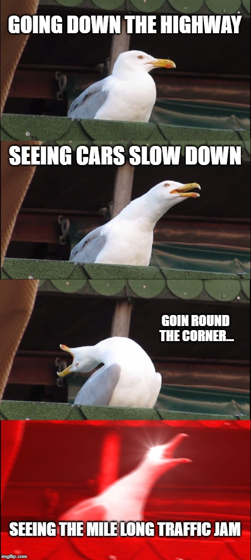 Inhaling Seagull | GOING DOWN THE HIGHWAY; SEEING CARS SLOW DOWN; GOIN ROUND THE CORNER... SEEING THE MILE LONG TRAFFIC JAM | image tagged in memes,inhaling seagull | made w/ Imgflip meme maker