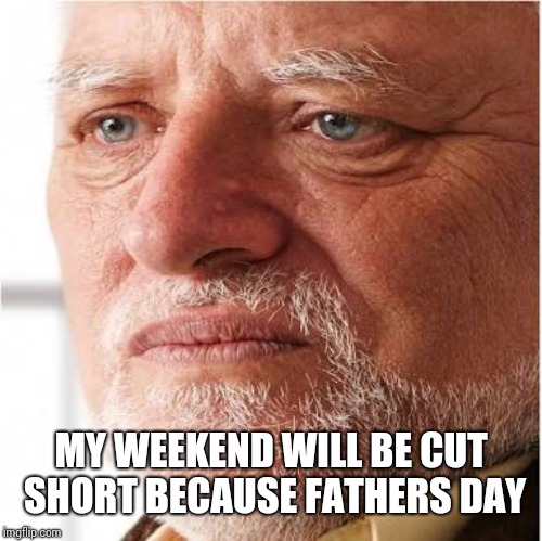 Harold sad | MY WEEKEND WILL BE CUT SHORT BECAUSE FATHERS DAY | image tagged in harold sad | made w/ Imgflip meme maker